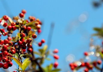 征集志愿真的是“救命稻草”嗎？今年的我們可以去撿漏這些高校嗎